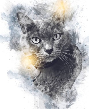 Kedi çizimi sanat eseri antika