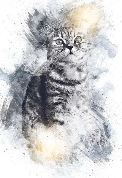 Dessin Chat Illustration Art Vintage Rétro Antique — Photo