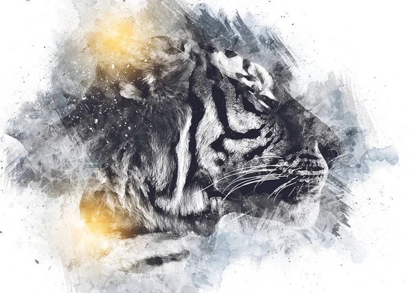 Тигрове Мистецтво Ілюстрація Колір Старовинний Гранжевий Ретро — стокове фото
