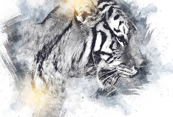 Tiger Art Illustration Farbe Vintage Grunge Retro — Stockfoto