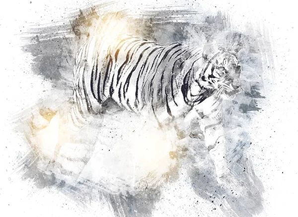 Tigre Art Illustration Couleur Vintage Grunge Rétro — Photo