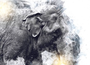 Fil sanatı illüstrasyonu eski moda.