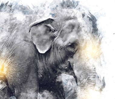 Fil sanatı illüstrasyonu eski moda.