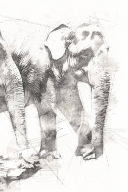 Fil sanatı illüstrasyonu eski moda.