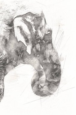 Fil sanatı illüstrasyonu eski moda.