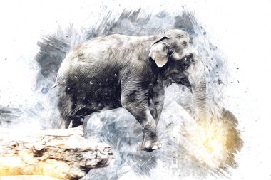 Fil sanatı illüstrasyonu eski moda.