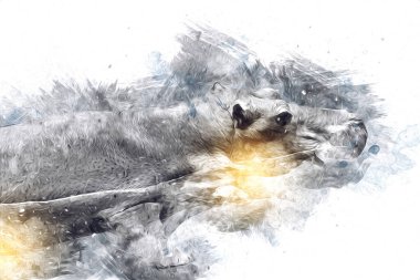 Hippo illüstrasyon sanatı klasik tasarım çizer