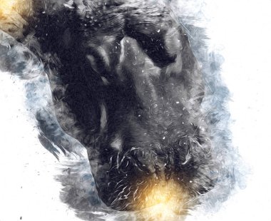 Hippo illüstrasyon sanatı klasik tasarım çizer