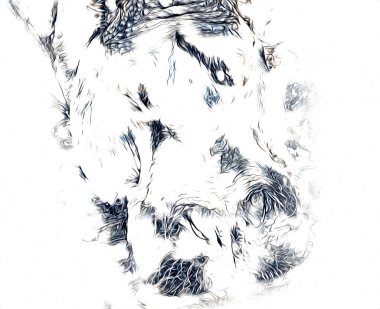 Hippo illüstrasyon sanatı klasik tasarım çizer