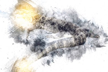 Kertenkele ejder sanatı klasik çizim