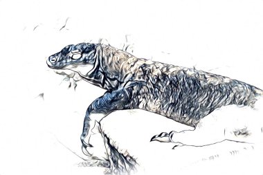 Kertenkele ejder sanatı klasik çizim