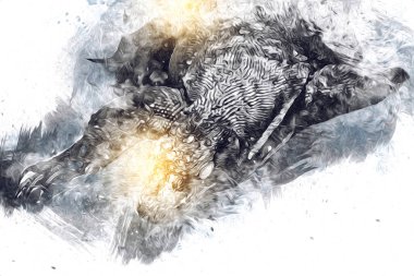 Kertenkele ejder sanatı klasik çizim