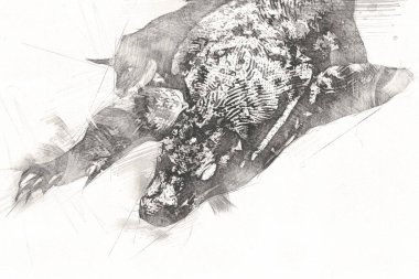 Kertenkele ejder sanatı klasik çizim