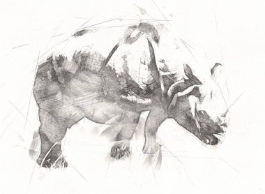 Afrika savanası gergedanları çizgi film tarzında. Eğitim zoolojisi illüstrasyonu