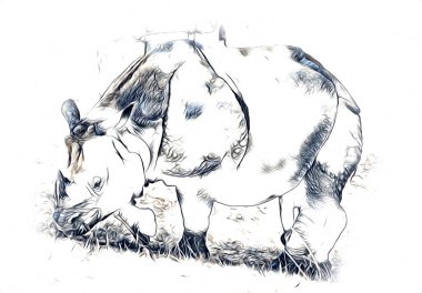 Afrika savanası gergedanları çizgi film tarzında. Eğitim zoolojisi illüstrasyonu