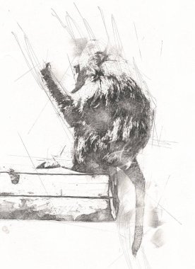 Ağaçların renkli çizimlerinde gerçekçi bir maymun.