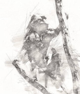 Ağaçların renkli çizimlerinde gerçekçi bir maymun.