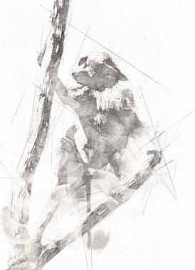 Ağaçların renkli çizimlerinde gerçekçi bir maymun.