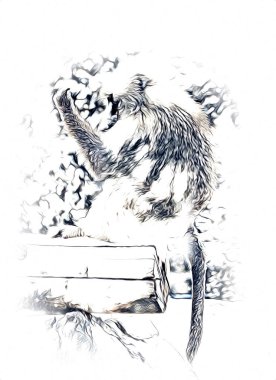 Ağaçların renkli çizimlerinde gerçekçi bir maymun.