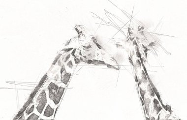 Zürafanın resim çizimi