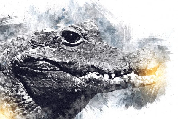 Desenho Crocodilo Esboço Manual Réptil Ilustração Arte — Fotografia de Stock