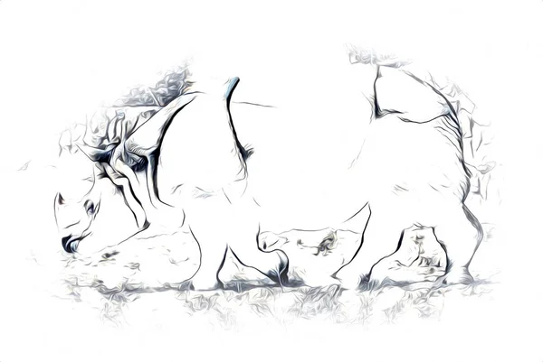 Afrikanska Savannen Djur Noshörning Tecknad Stil Utbildning Zoologi Illustration — Stockfoto