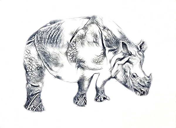 Afrikai Szavanna Állati Orrszarvú Rajzfilm Stílusban Oktatási Zoológiai Illusztráció — Stock Fotó
