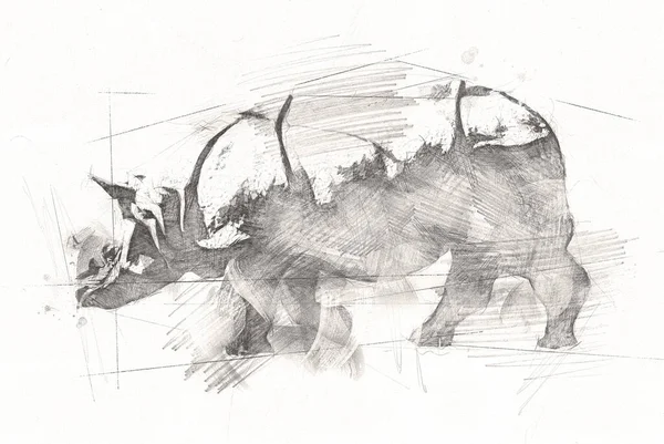 Afrikai Szavanna Állati Orrszarvú Rajzfilm Stílusban Oktatási Zoológiai Illusztráció — Stock Fotó