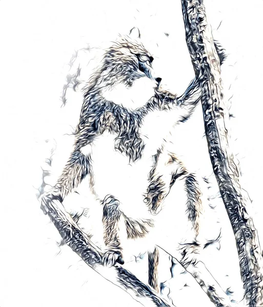 Realistische Affe Auf Baum Bunte Illustration Vintage Zeichnung — Stockfoto
