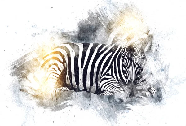 Disegno Zebra Schizzo Illustrazione Dei Mammiferi Africani — Foto Stock