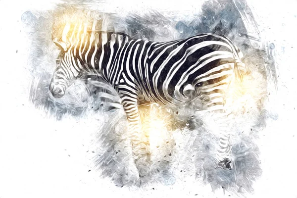 Disegno Zebra Schizzo Illustrazione Dei Mammiferi Africani — Foto Stock