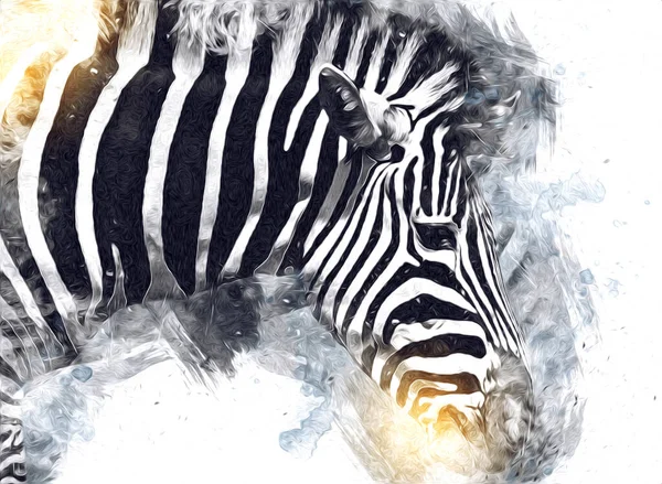 Drawing Zebra Sketch African Mammal Illustration — Stock Photo, Image