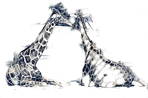 Desenho Arte Desenho Ilustração Girafa — Fotografia de Stock