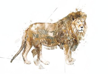 Aslan resimleri grunge vintage çiziyor