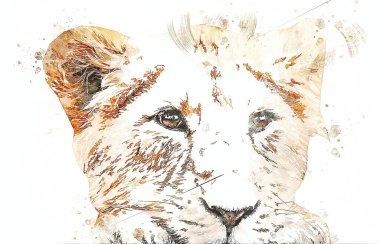 Aslan resimleri grunge vintage çiziyor