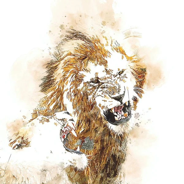 Lion Art Illustration Dessin Grunge Vintage — Photo