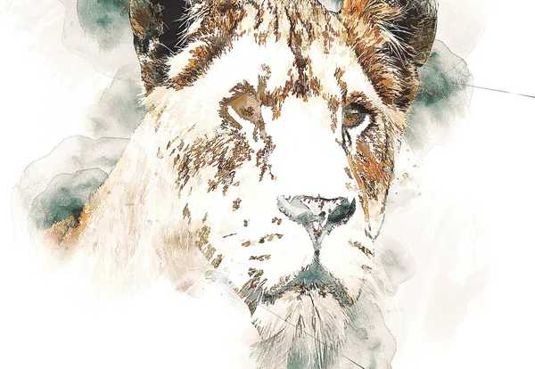 Lion Art Illustration Dessin Grunge Vintage — Photo