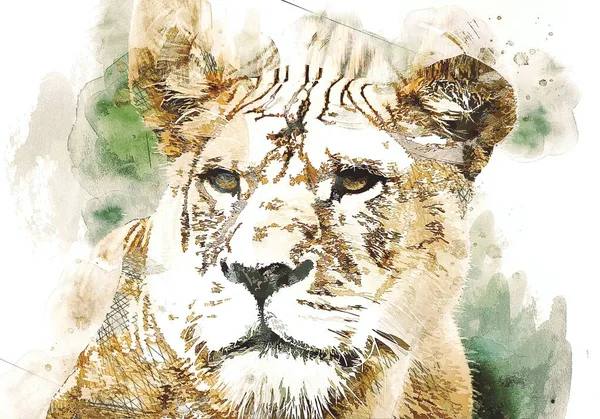 lion art illustration drawing grunge vintage