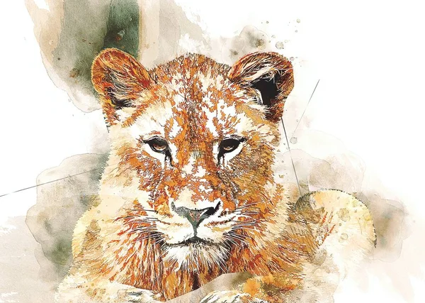 Lion Art Illustration Dessin Grunge Vintage — Photo