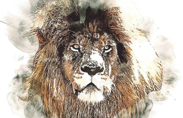Lion Art Illustration Drawing Grunge Vintage — Stock Photo, Image