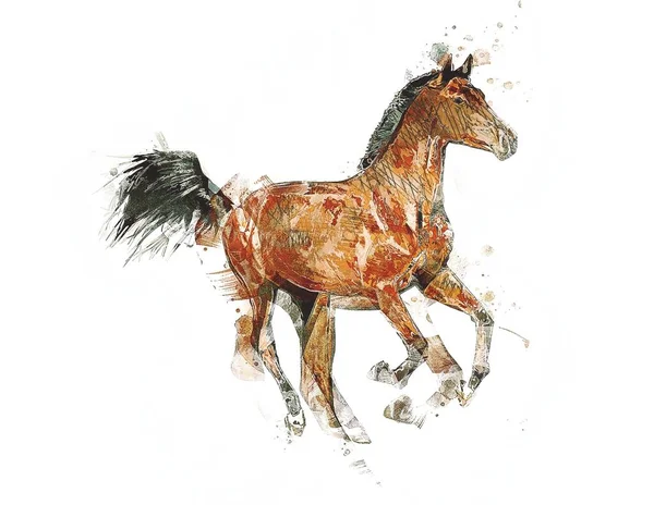 Colorido Caballo Arte Ilustración Grunge Pintura —  Fotos de Stock