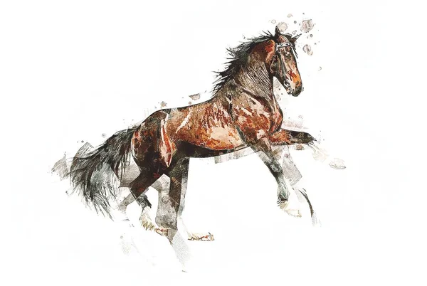 Colorful Horse Art Illustration Grunge Painting — Stock Photo, Image