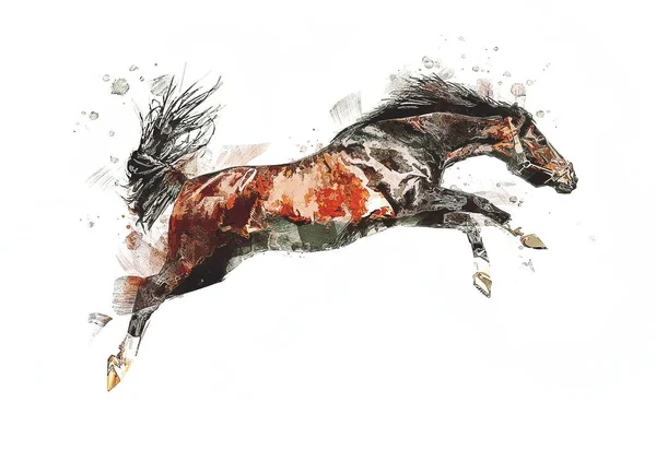 Colorful horse art illustration grunge painting