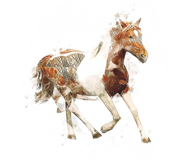 Colorido Caballo Arte Ilustración Grunge Pintura —  Fotos de Stock