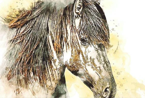 Bunte Pferd Kunst Illustration Grunge Malerei — Stockfoto
