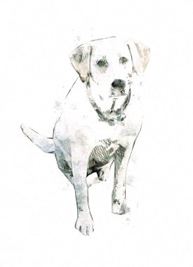 Köpek çizimi eski antika sanat eserleri