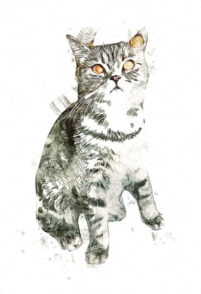 Cat Drawing Art Vintage Retro Antique — 스톡 사진