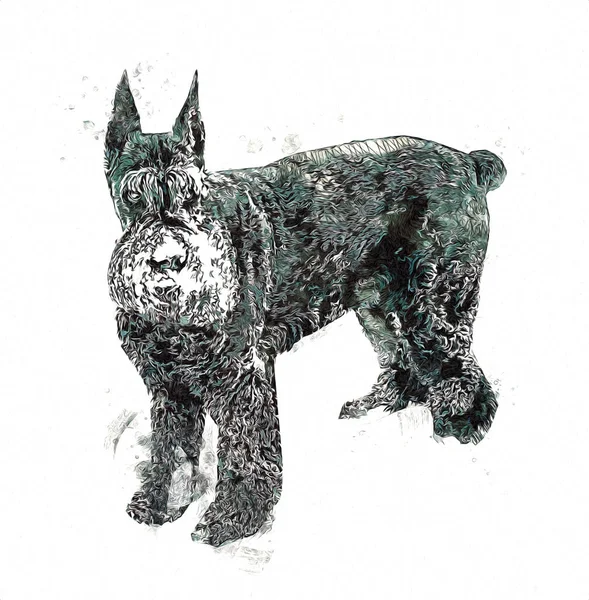 Искусство Рисования Собак Старинный Старинный Ретро Антиквариат — стоковое фото