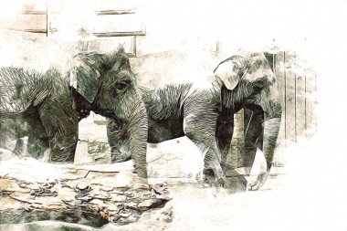 Fil sanatı illüstrasyonu eski moda.