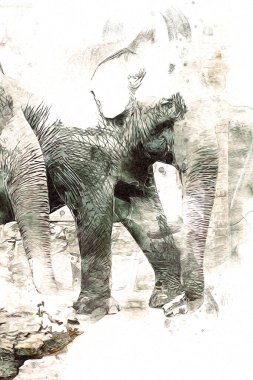 Fil sanatı illüstrasyonu eski moda.